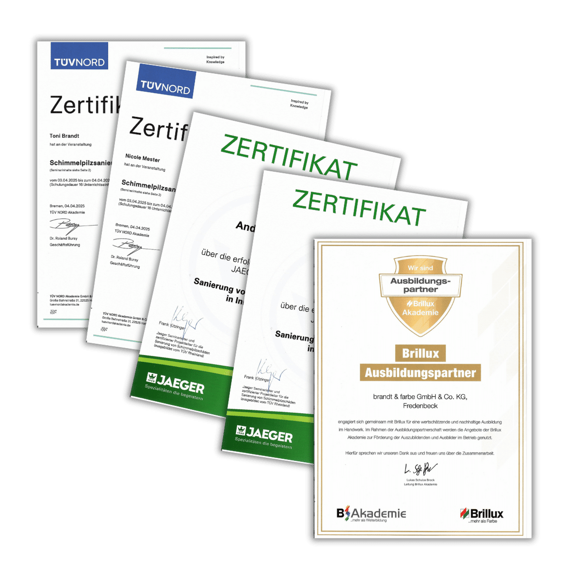 Maler Stade: Unsere Zertifikate