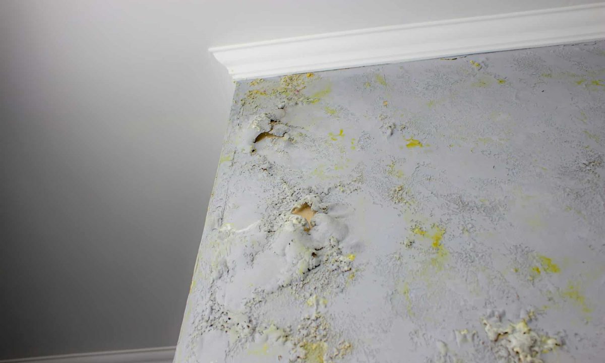 Bautrockner mieten Jork