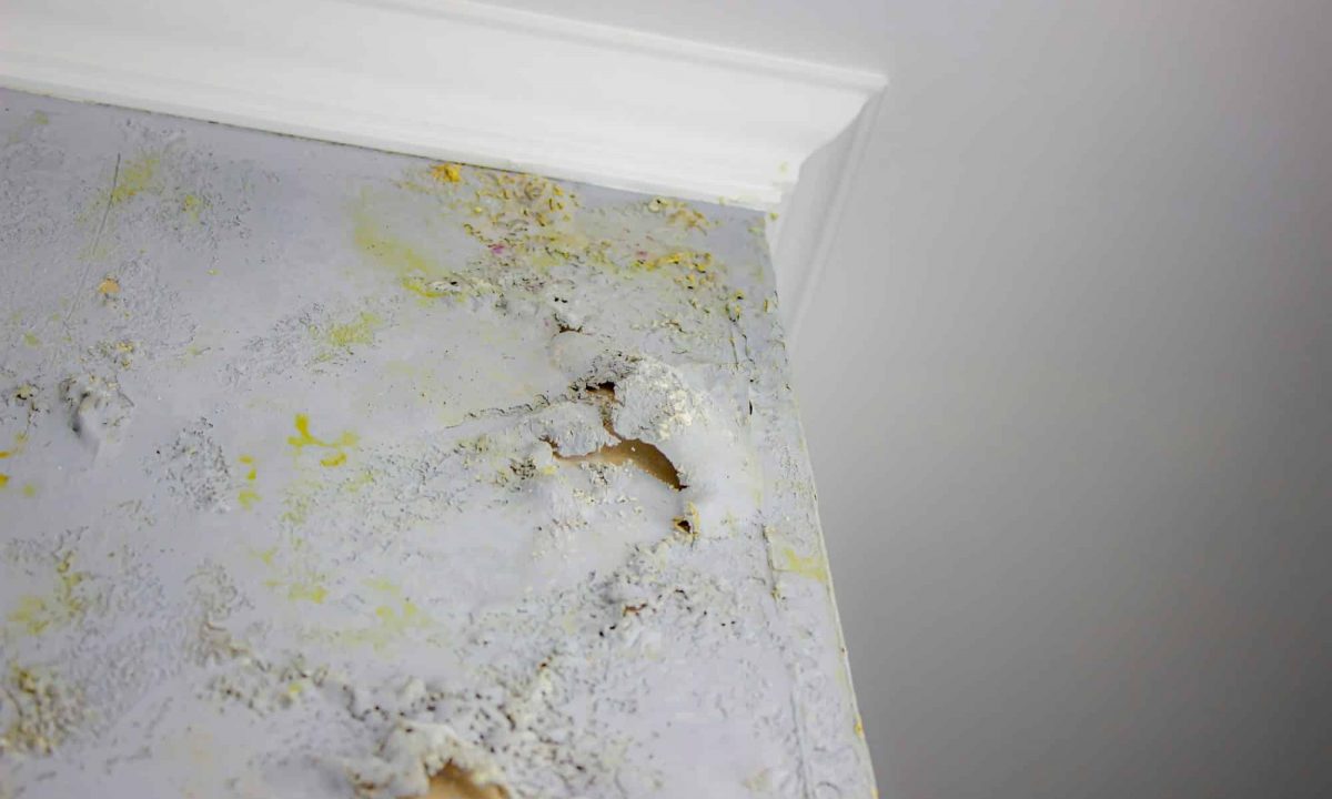 Bautrockner mieten Finkenwerder