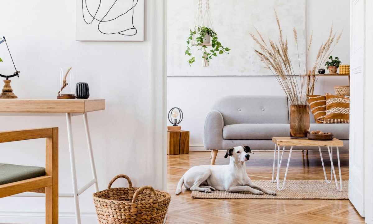 Wohnung sanieren Buxtehude